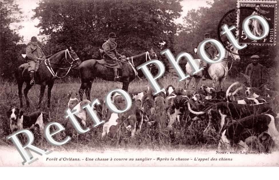 foret d'orleans, une chasse a courrs au sanglier, apres la chasse, l'appel des chiens