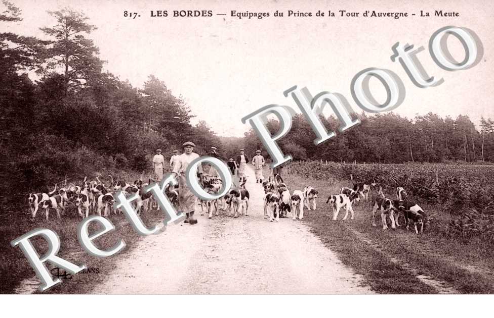 equipage du prince de la tour d'auvergne, la meute