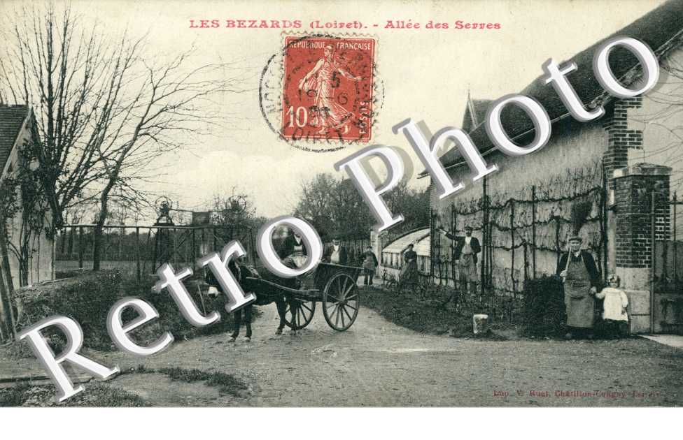 Allée des Serres -  Les Bezards