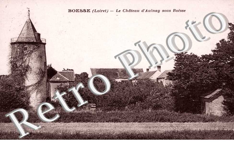 le chateau d'Aulnay sur Boësse