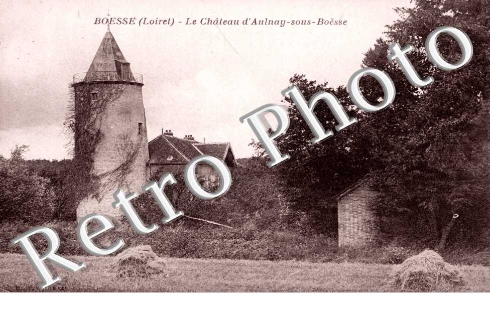 le chateau d'Aulnay sur Boësse