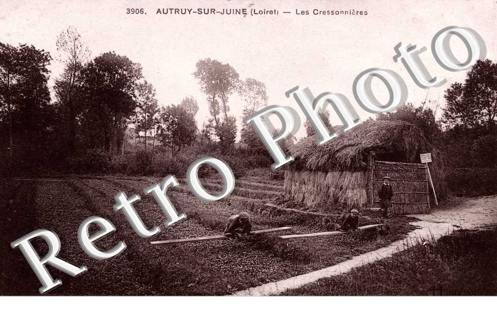Autruy sur Juine, les cressonnieres