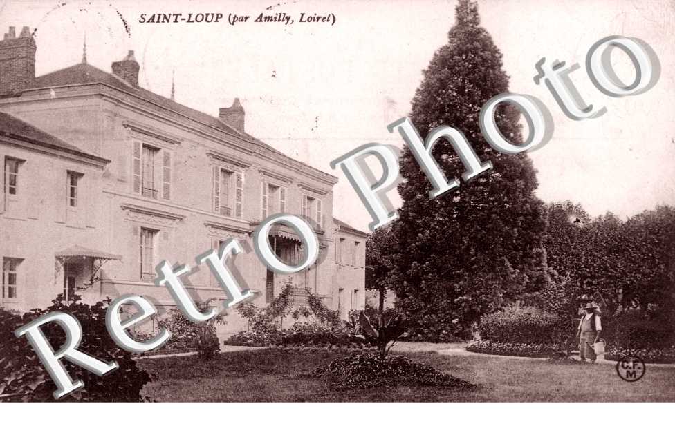 Saint Loup
