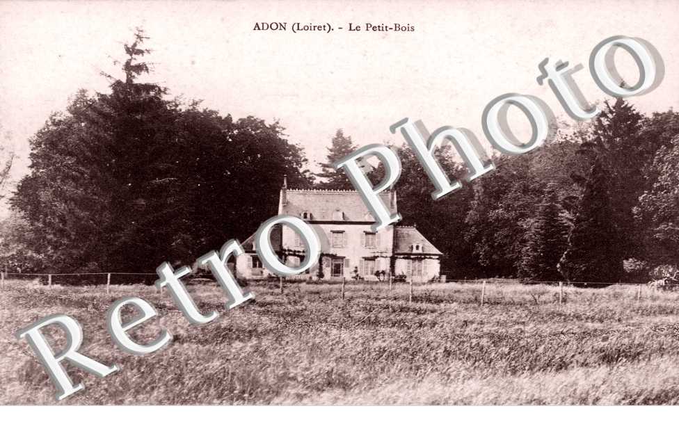 le petit-bois