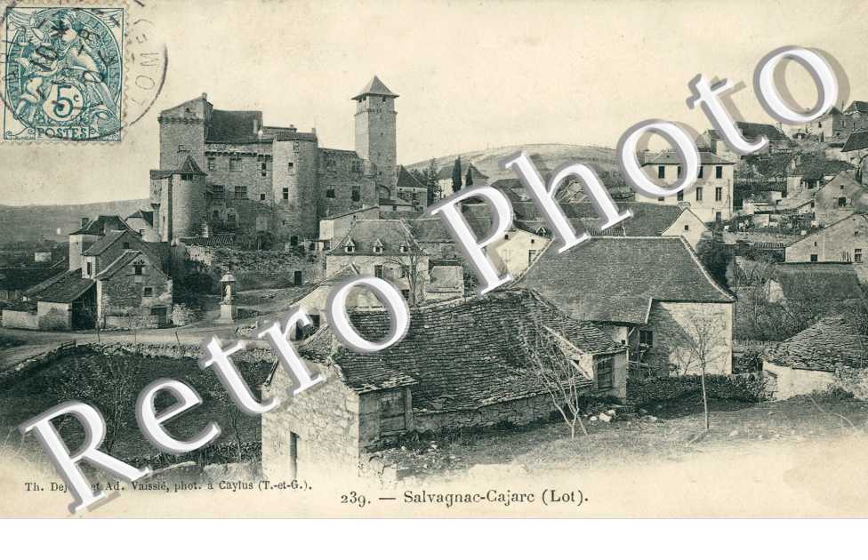 Salvagnac - vue