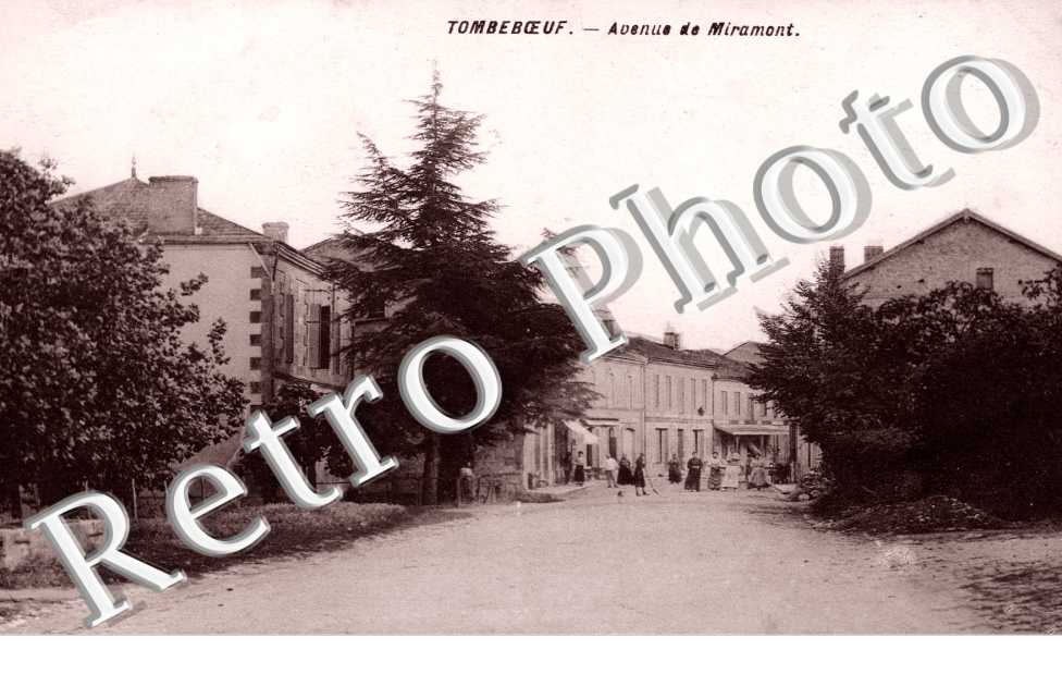 Avenue de Miramont