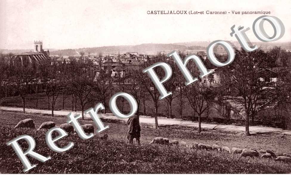 vue panoramique