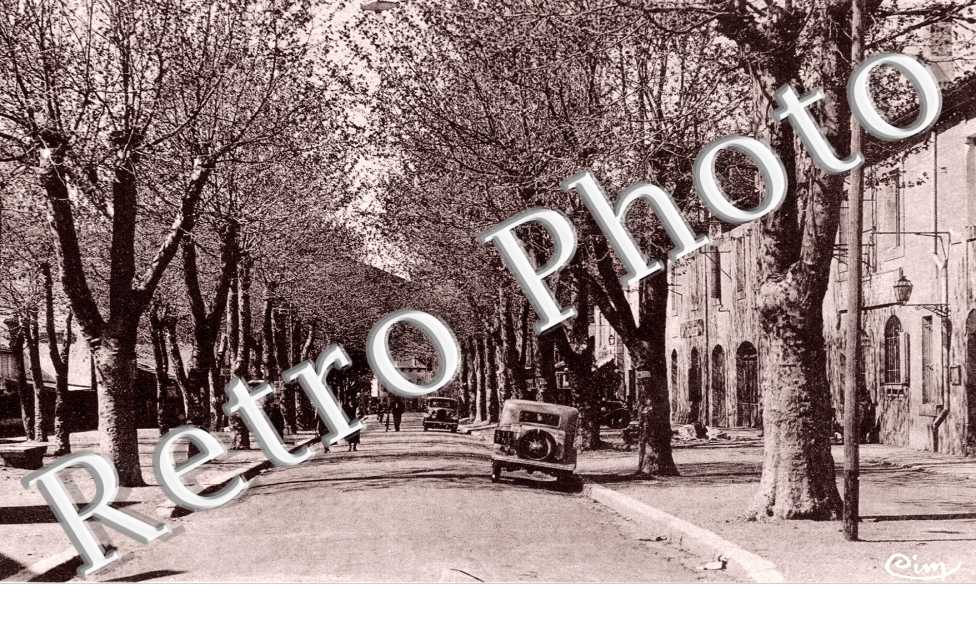 avenue du Bosquet
