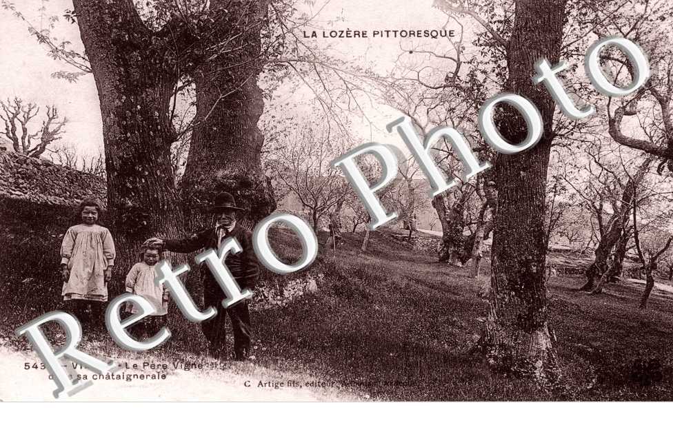 Le pere Vigne dans sa chataigneraie
