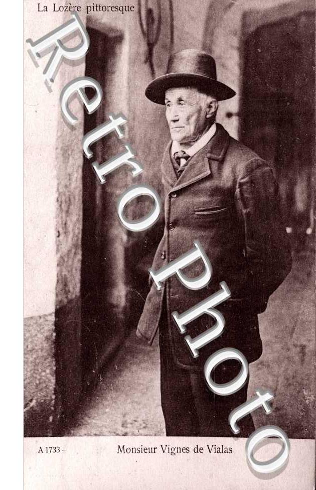 Monsieur Vignes