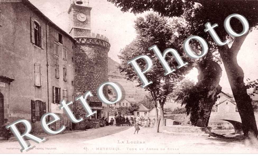 Tour et arbre de Sully