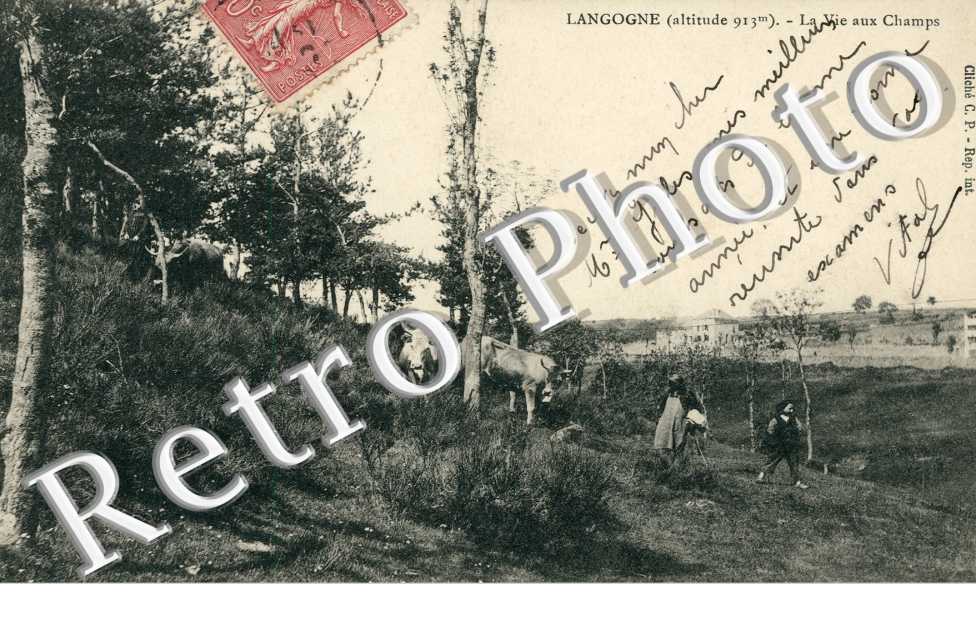 la Vie aux Champs