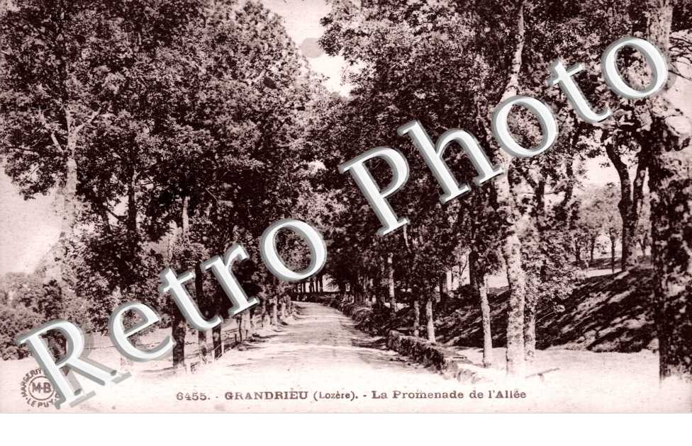 la promenade de l'allee