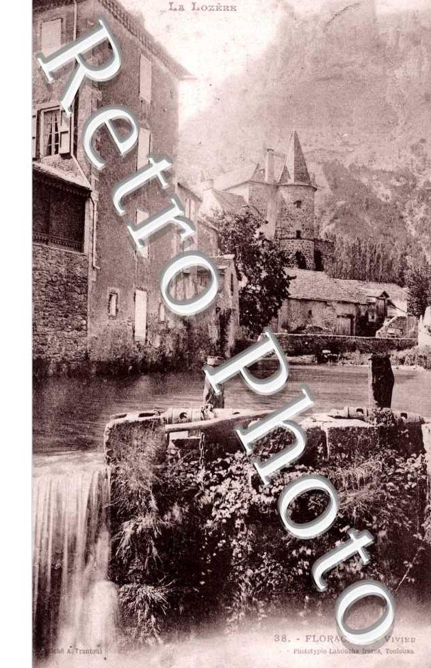 le vivier