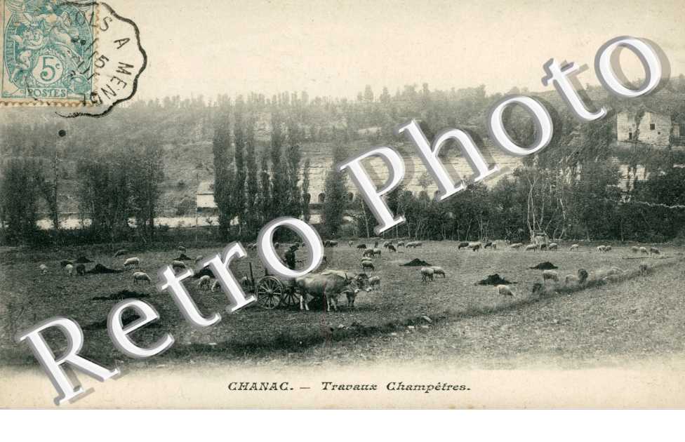 travaux champetres