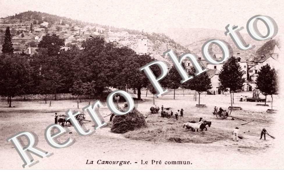le Pre commun
