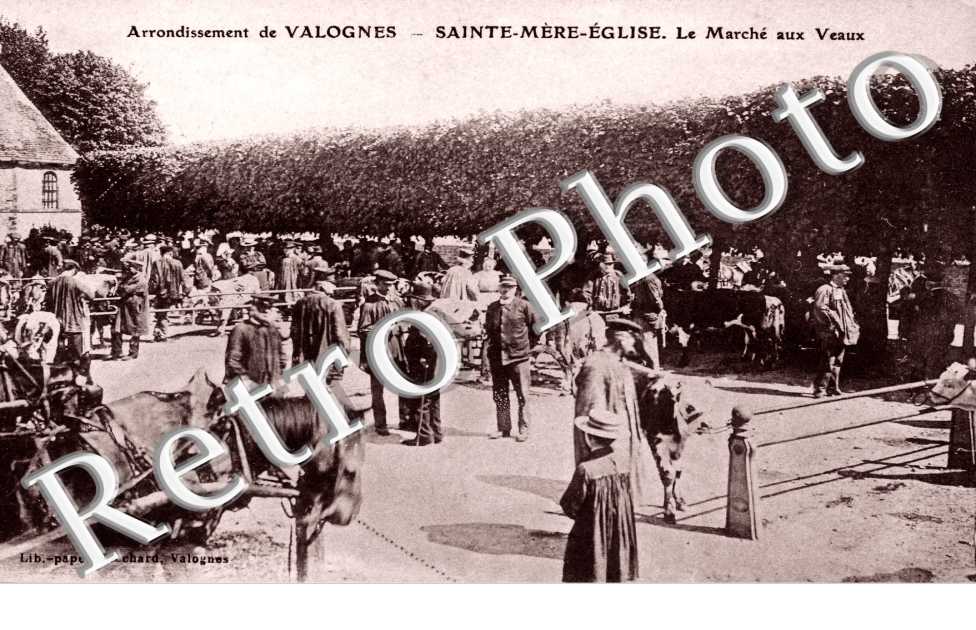 Le marche aux veaux