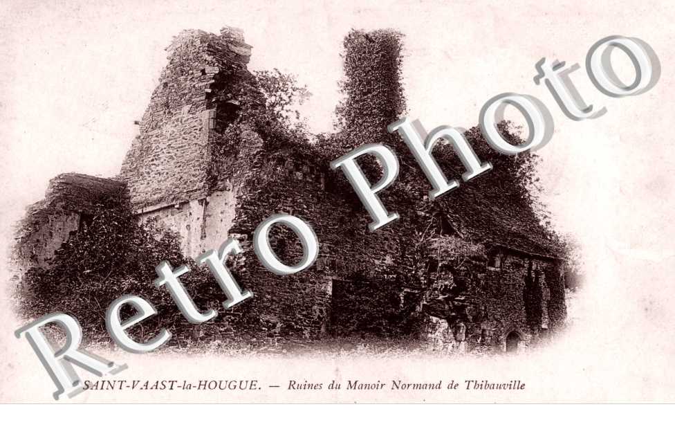Ruines du manoir de Thibauville