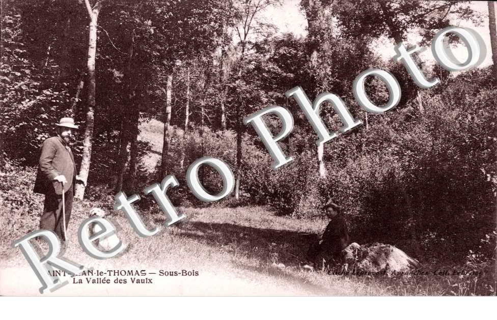 Vallee de Vaux - Sous bois