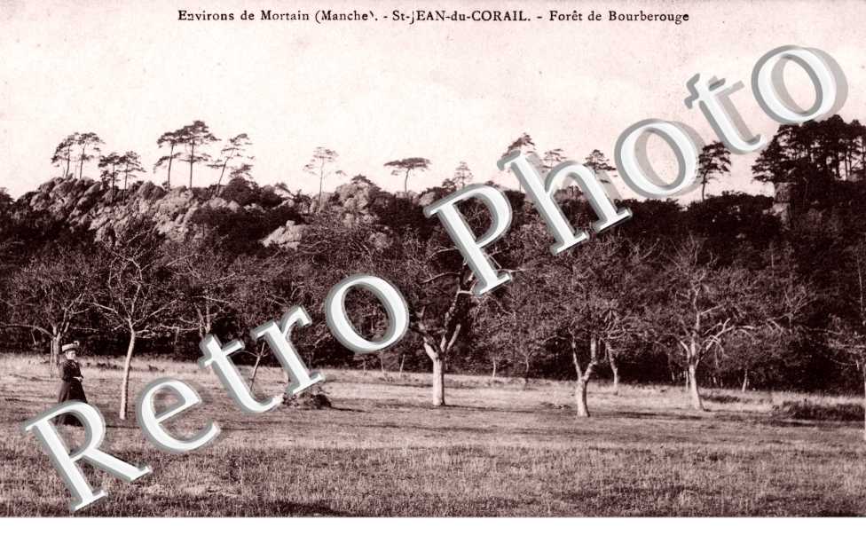 Foret de Bourberouge