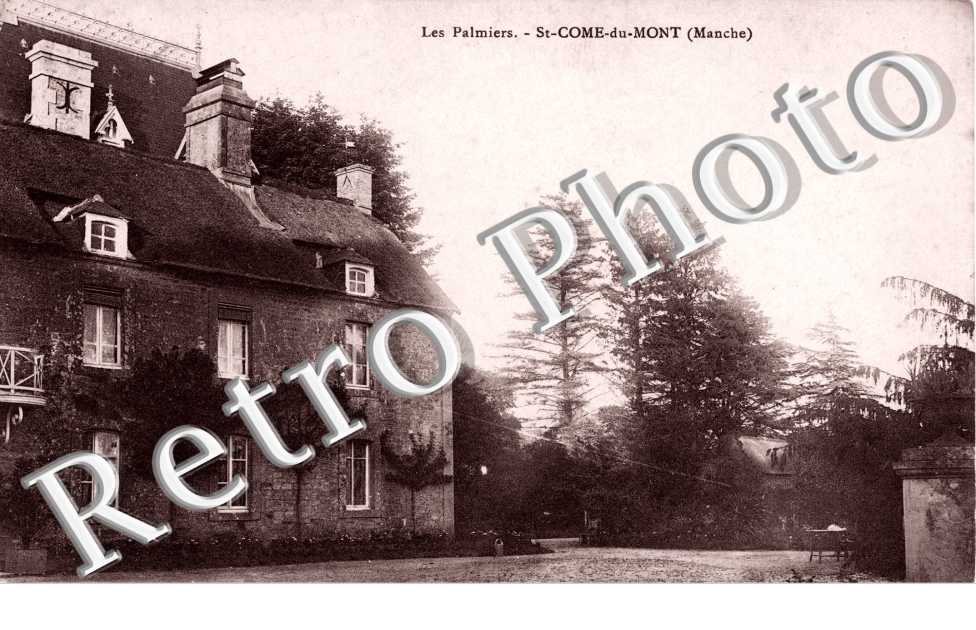 Les palmiers
