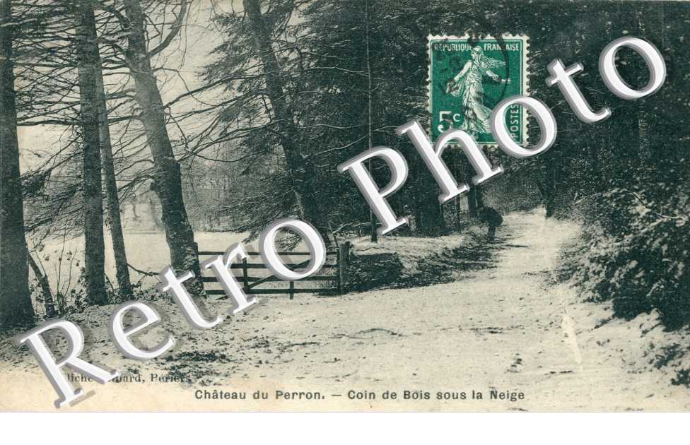 Chateau du Perron.  Coin de bois sous la neige