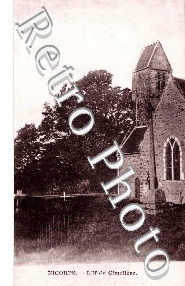 L'If du cimetiere