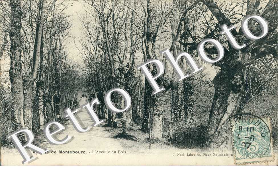 l'avenue du Bois