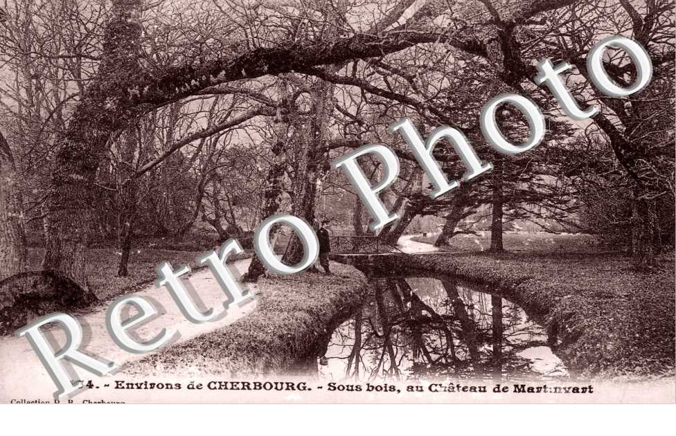 Sous-bois au chateau