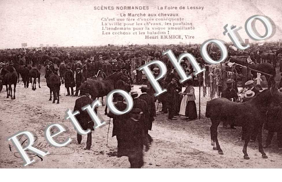 Foire, marche aux chevaux