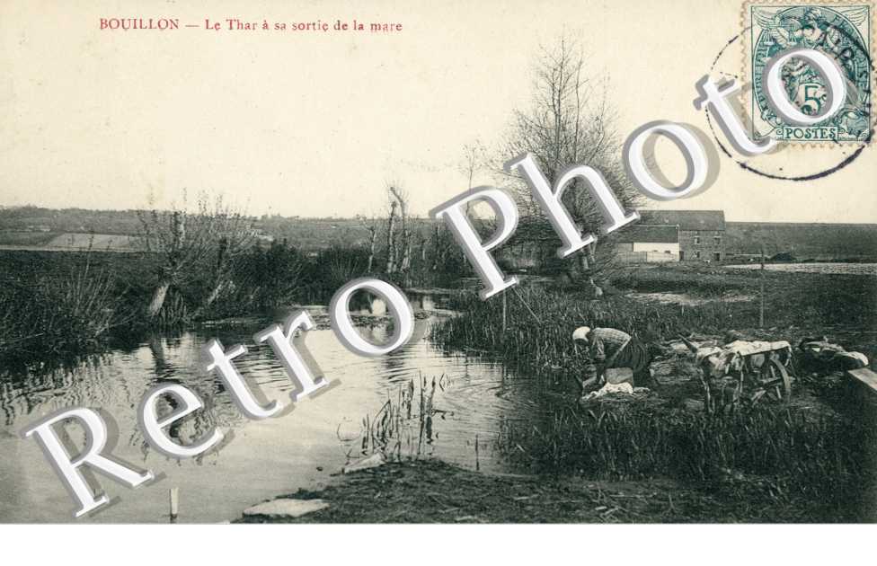 Le Thar à sa sortie de la mare