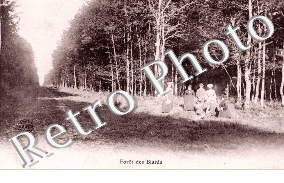 Foret