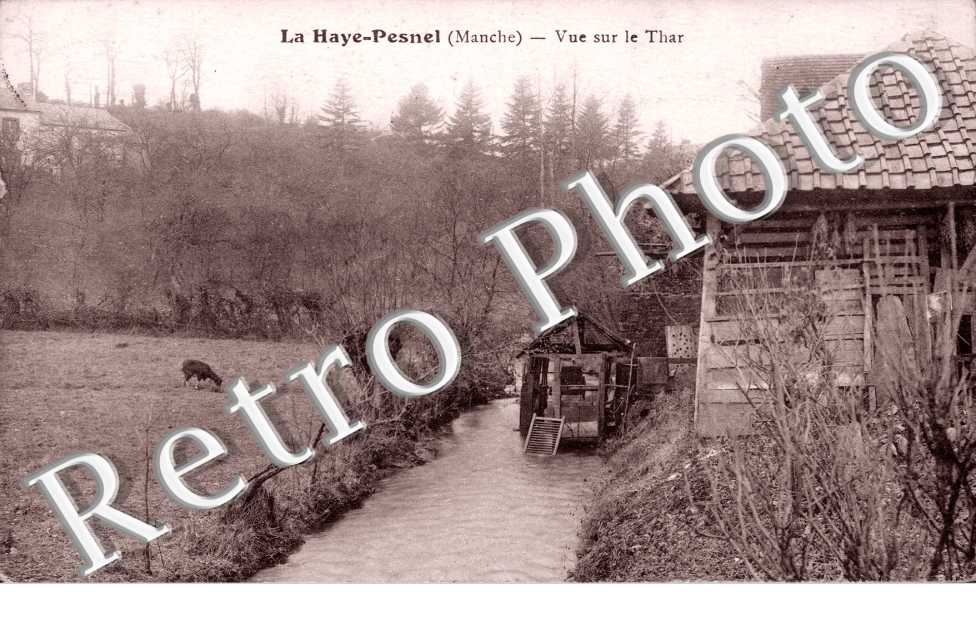 Vue sur le Thar