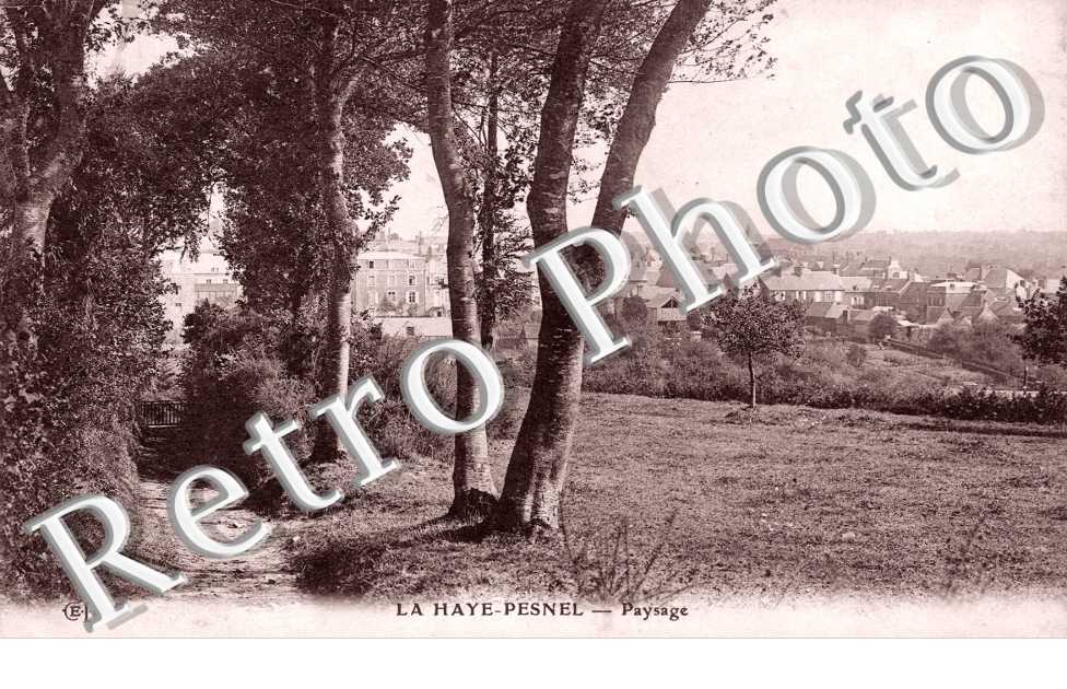 Paysage 