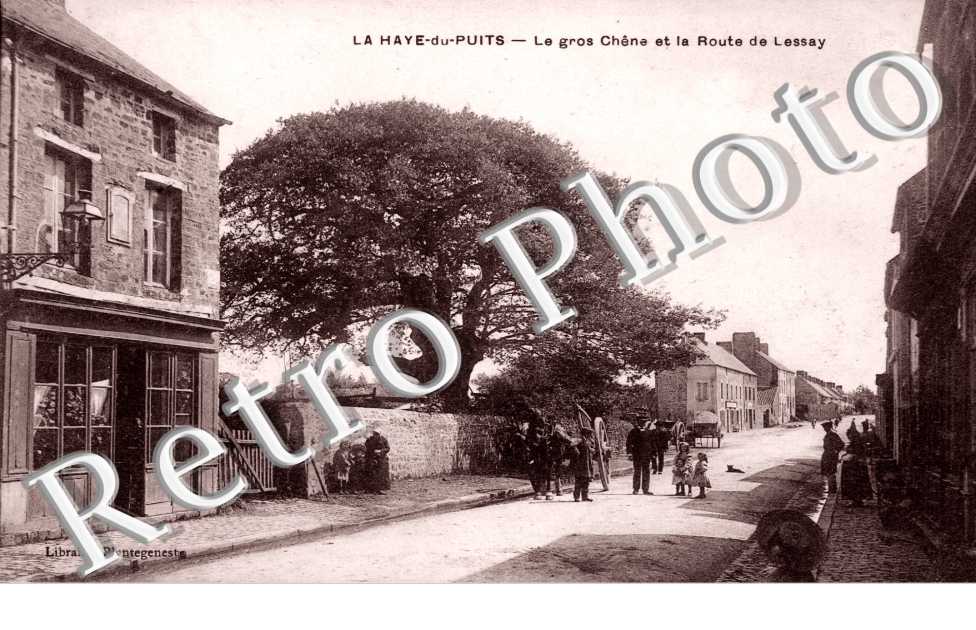 e gros chene et la route de Lessay