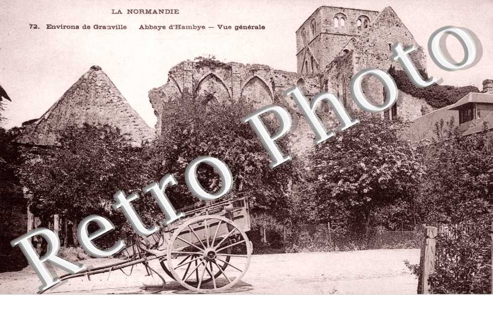 Ruines de l'abbaye  vue generale