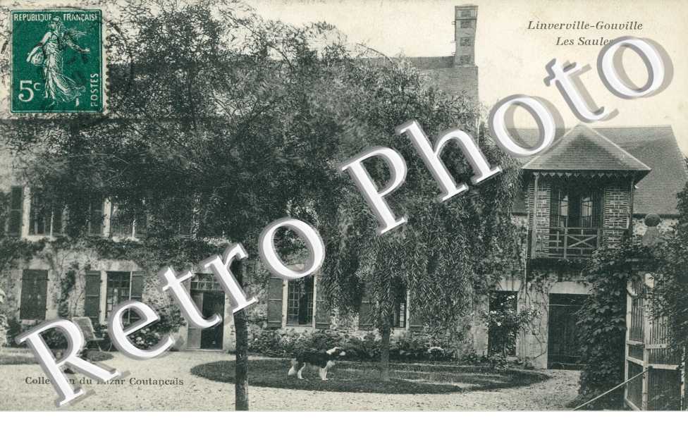 les Saules