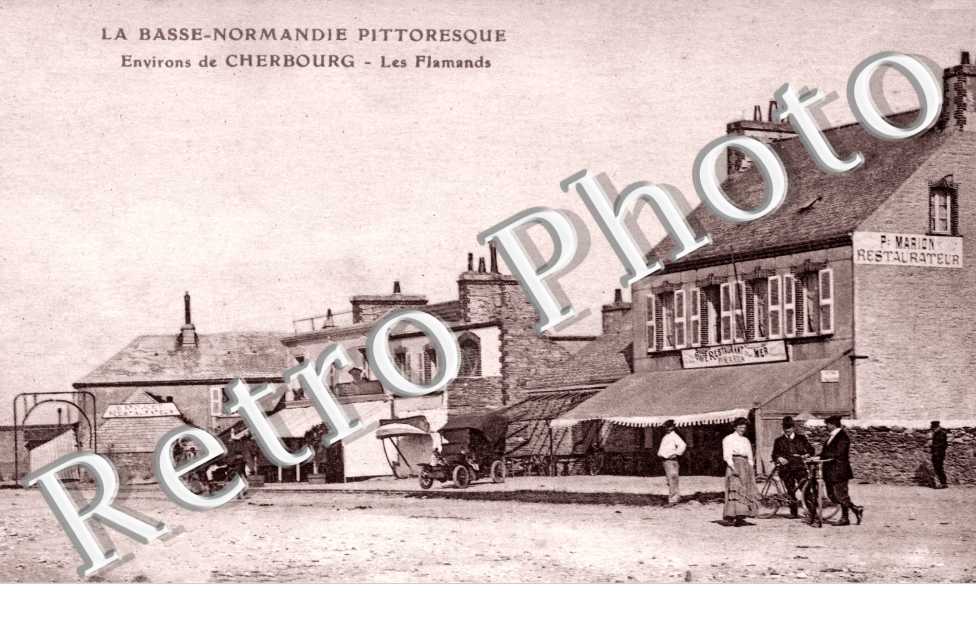 les flamands