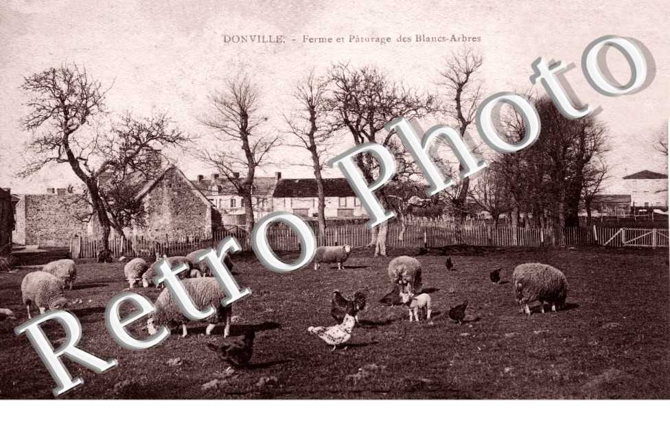 Ferme et Paturage des Blancs Arbres
