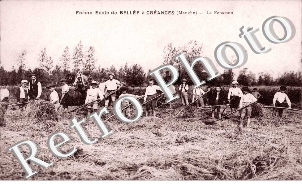 ferme ecole de Bellee, la fenaison