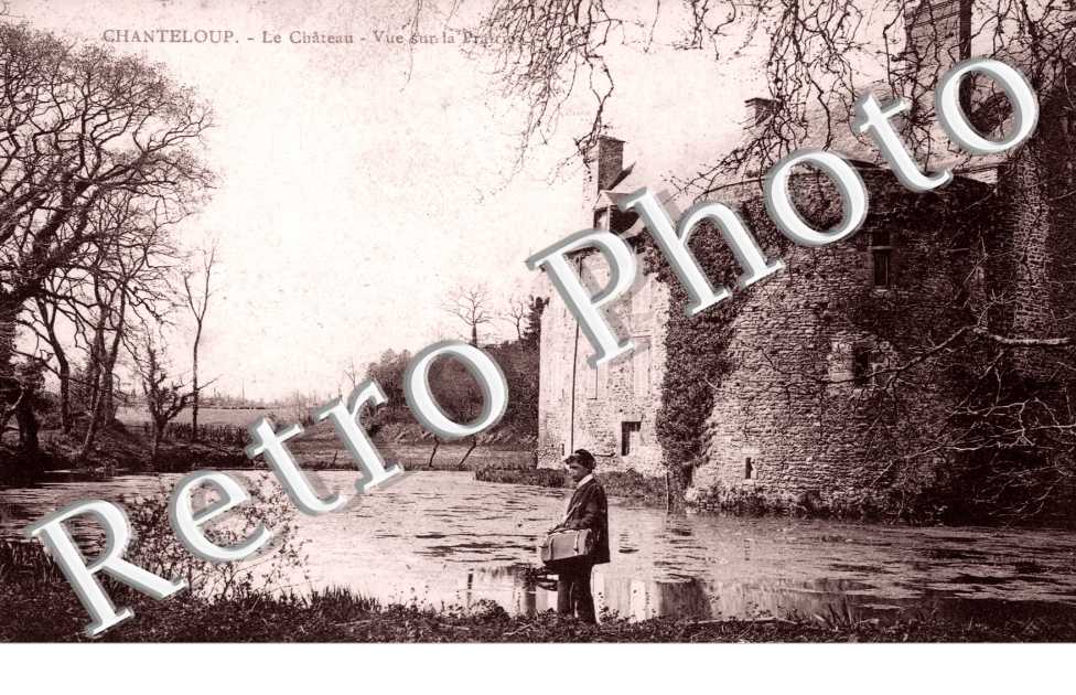 le chateau, vue sur la prairie