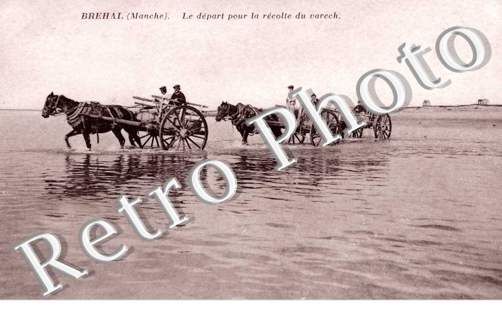 Le depart pour la recolte du varech