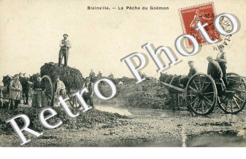 la peche du Goemon