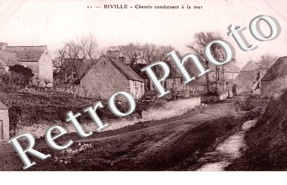 Chemin conduisant a la mer