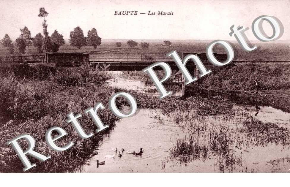  les marais