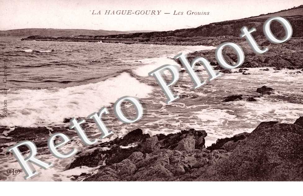 les Grouins