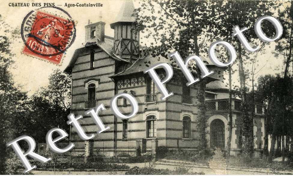 Chateau des Pins