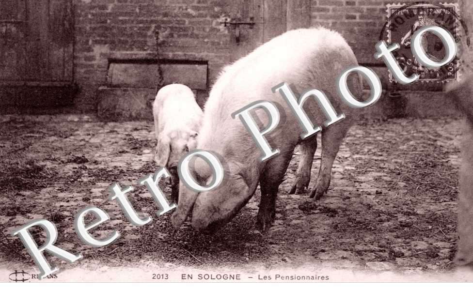 Les Pensionnaires