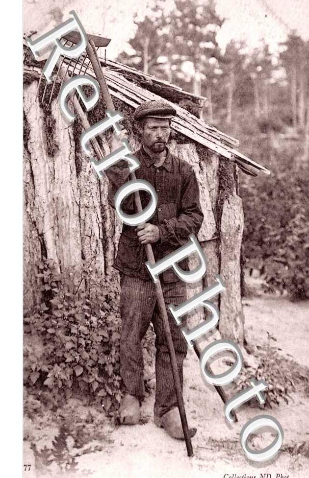 Charbonnier en foret