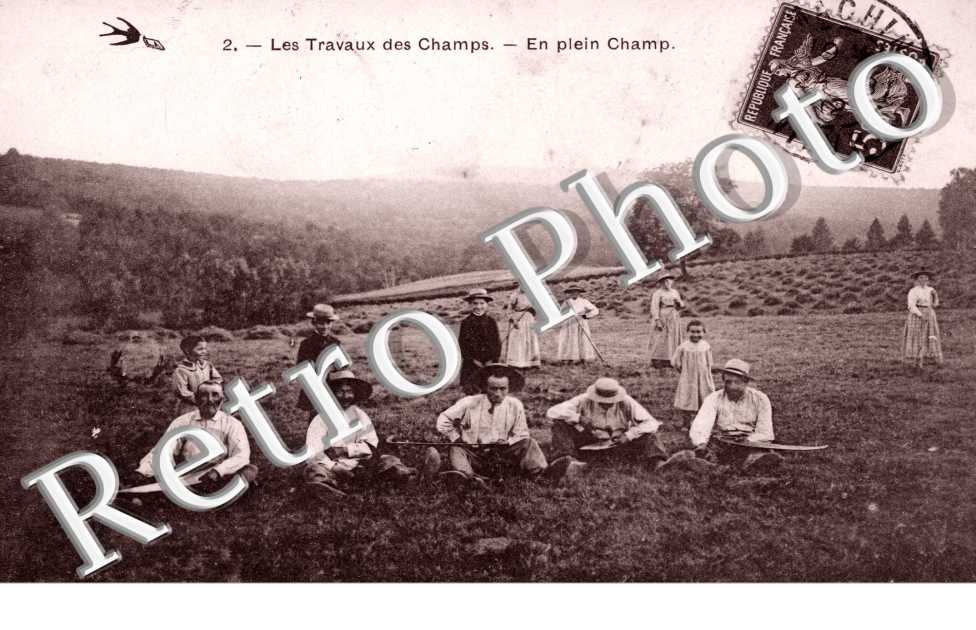 les travaux des champs En plein champ